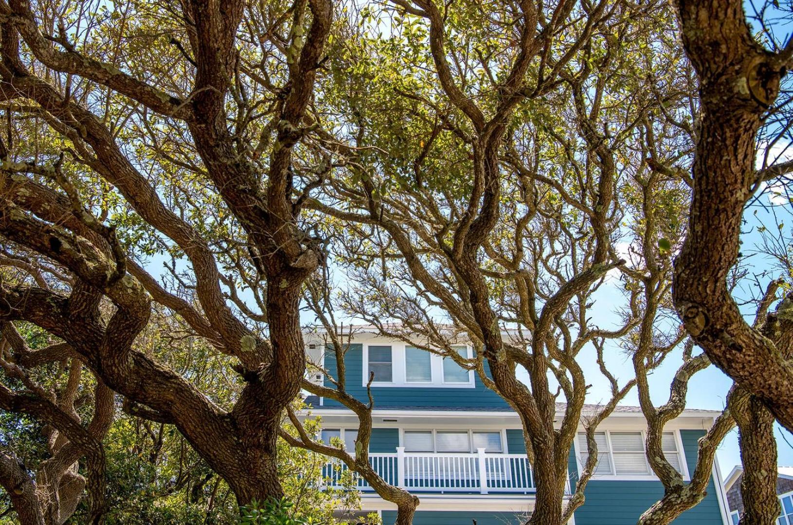 Duneside Home Pine Knoll Shores Exterior photo